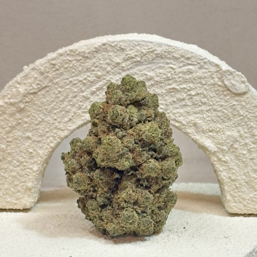 frozen cbd
