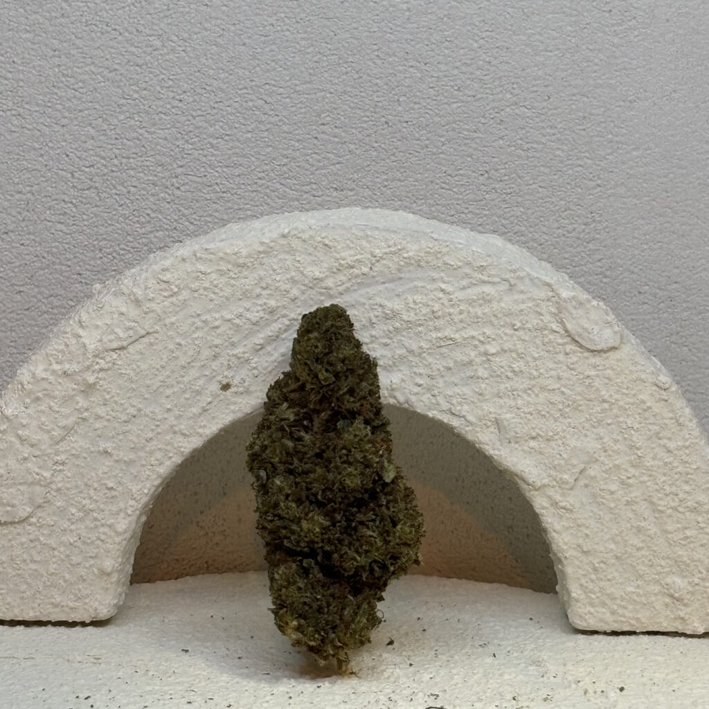 Bubba Kush ++