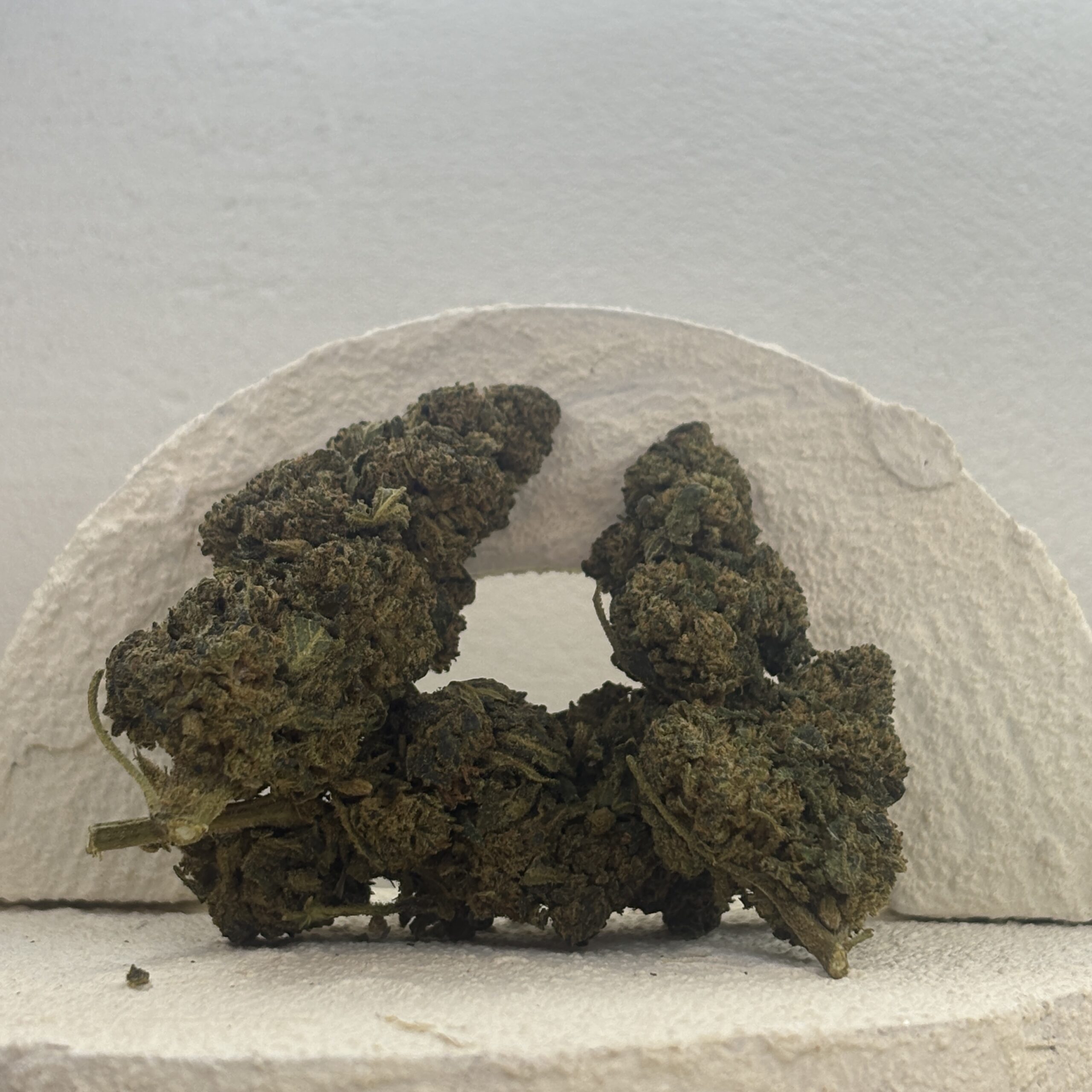 White Widow +++